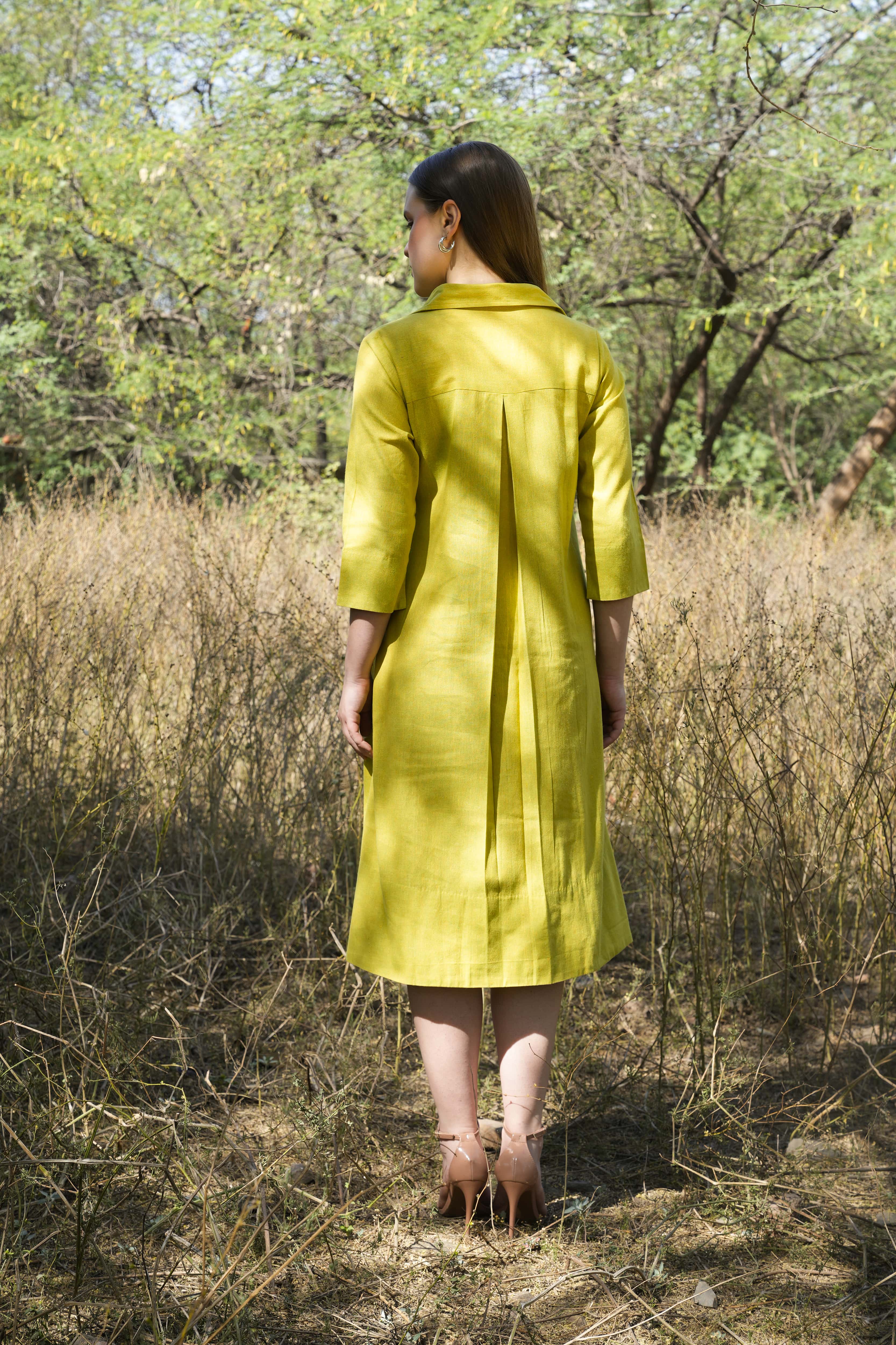 lemon green colour dress Lemon Green Solid Fit and Flare Maxi Dress with Silver
